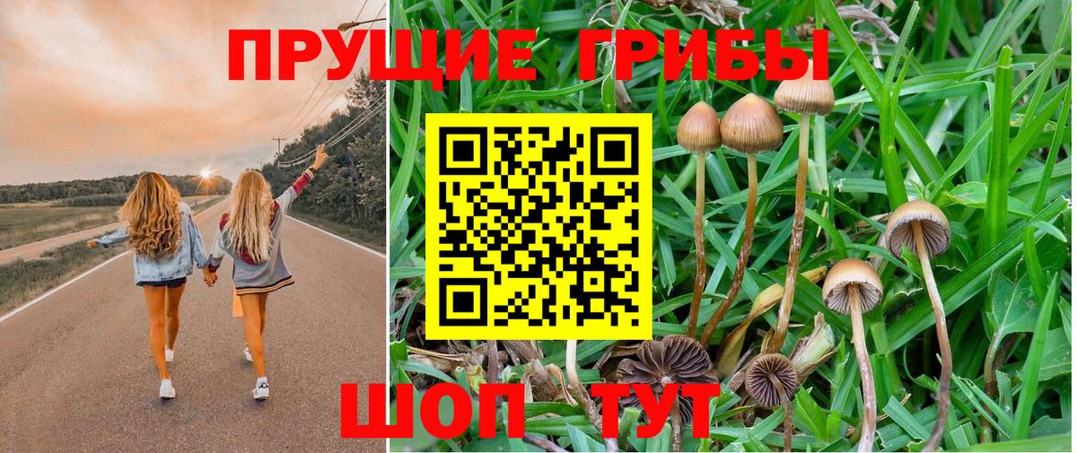 Галлюциногенные грибы MAGIC MUSHROOMS  Псилоцибиновые грибы мухоморы  Ишимбай  Вход с VPN 