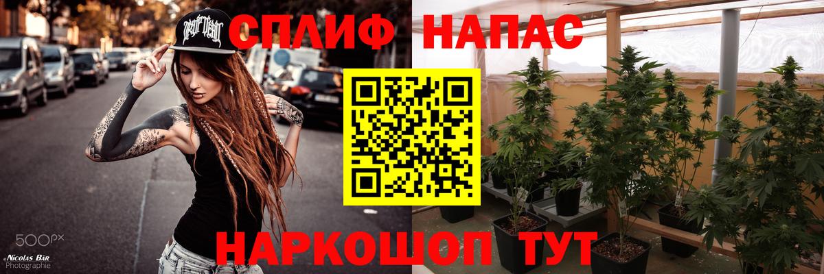 Бошки марихуана Amnesia Ишимбай